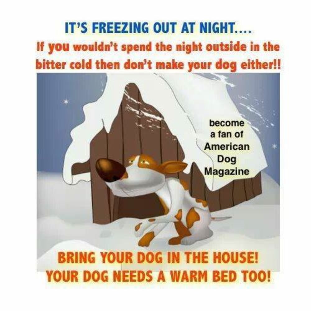 Meet your Posher, Shawona